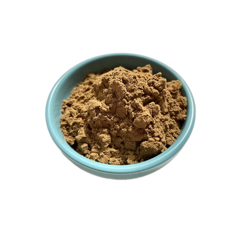 Echinacea Purpurea Extract Powder Polyphenols 4% UV Cichoric acid 2%/4% HPLC