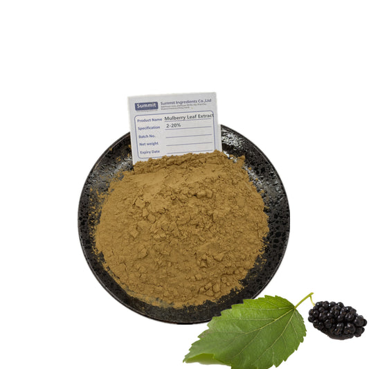White mulberry leaf extract 95% mulberry leaf powder