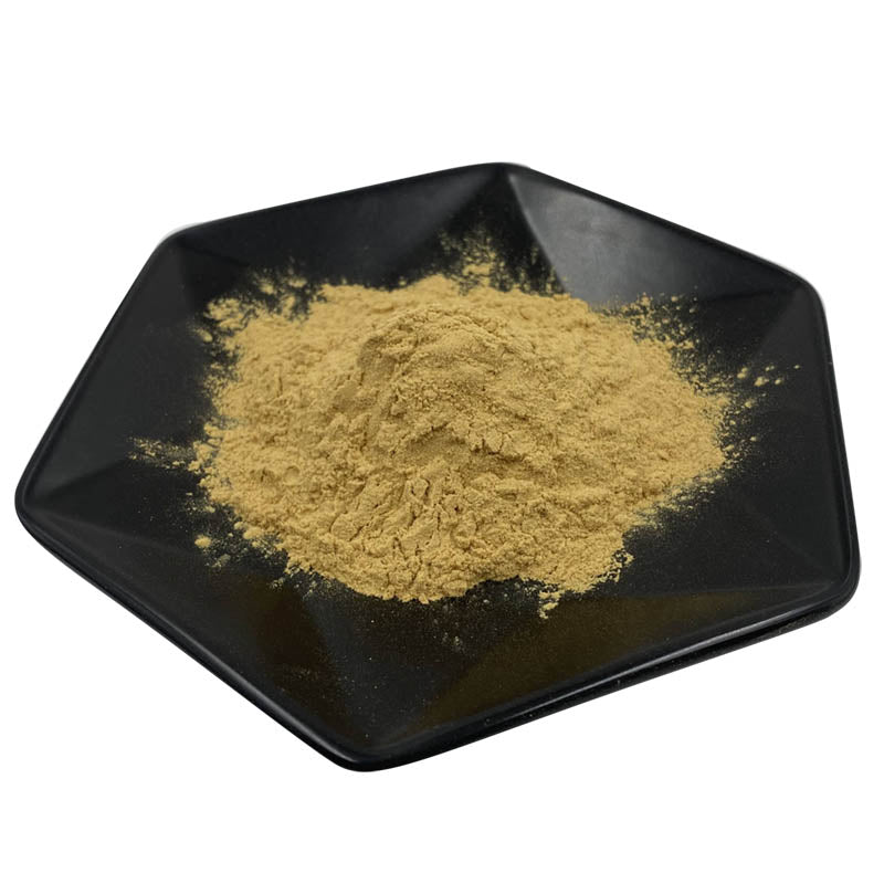 Ginsen Root Extract Acanthopanax Extract Powder Acanthopanax Senticosin  Eleutheroside 0.8%