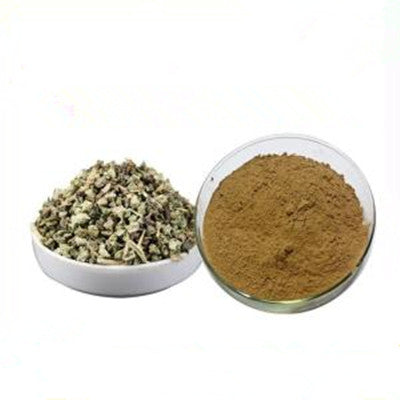 Black Cohosh Extrac Powder