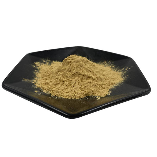 Shatavari Root Extract Powder Tian Men Dong Extract Asparagus 95%