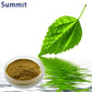 White mulberry leaf extract 95% mulberry leaf powder