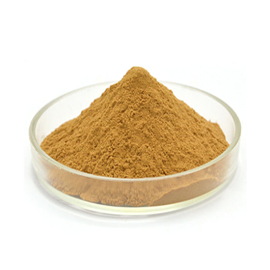 Echinacea Purpurea Extract Powder Polyphenols 4% UV Cichoric acid 2%/4% HPLC