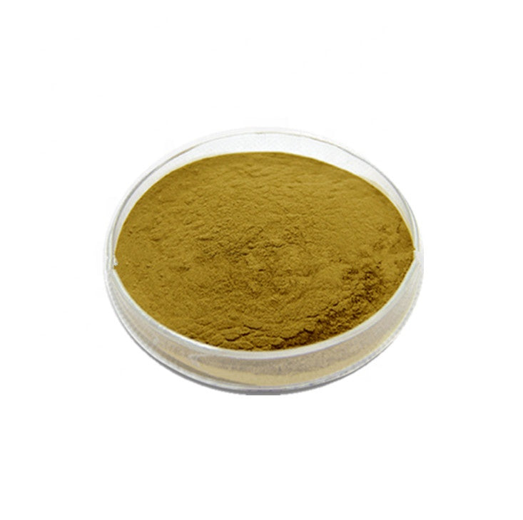 Arctium Lappa/Burdock Root Extract Powder for Health Arctiin 10%/20%