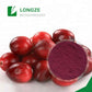 Cranberry extract powder/cranberry juice concentrate cranberry p.e. Anthocyanidins 25%