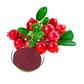 Cranberry extract powder/cranberry juice concentrate cranberry p.e. Anthocyanidins 25%