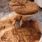 Reishi Mushroom lingzhi Ganoderma Lucidum Extract Powder Polysaccharide 10%/15%/20%