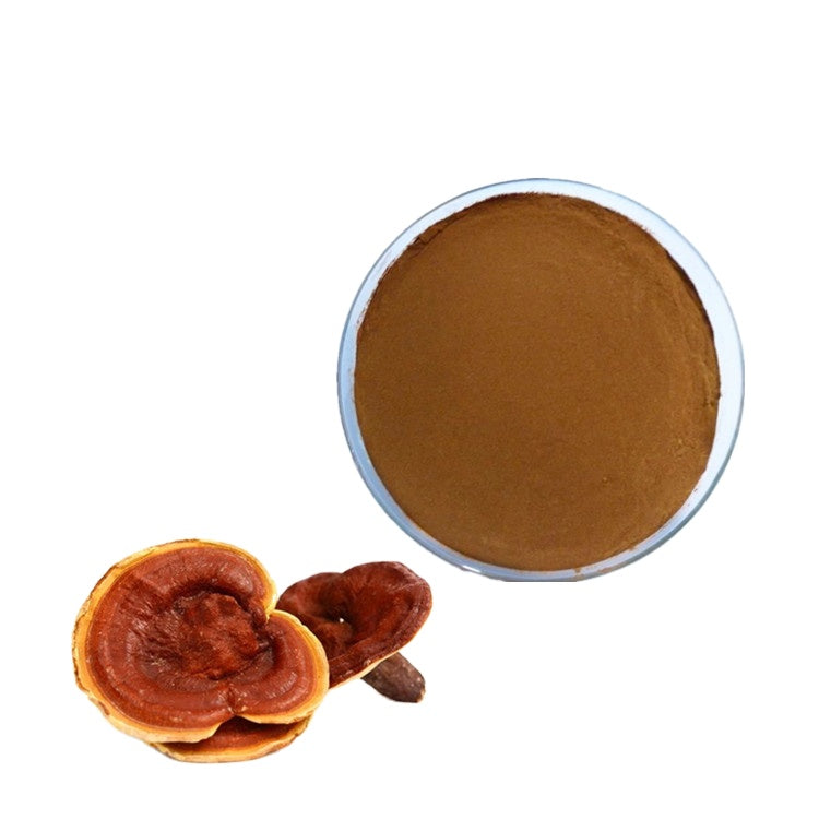 Reishi Mushroom lingzhi Ganoderma Lucidum Extract Powder Polysaccharide 10%/15%/20%