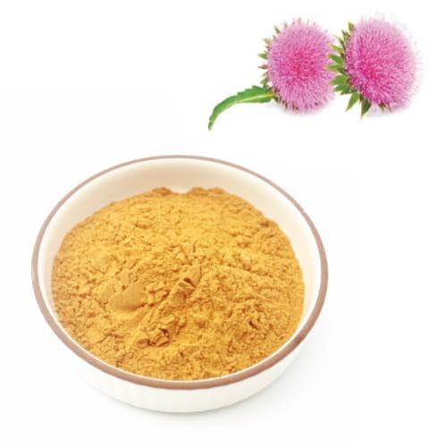 Milk Thistle Extract Silymarin 95% Powder