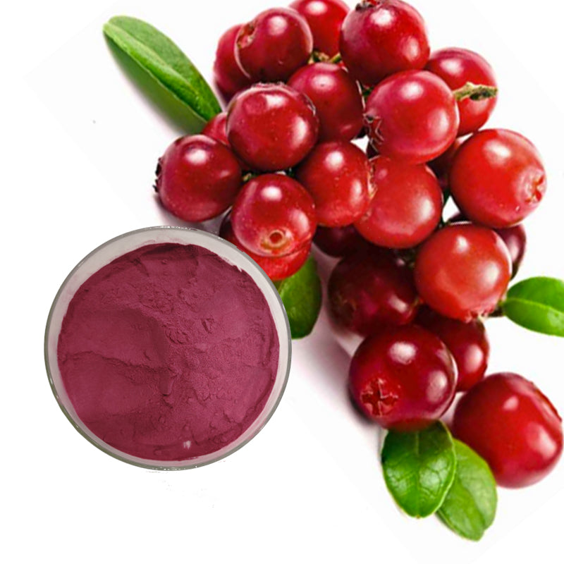 Cranberry extract powder/cranberry juice concentrate cranberry p.e. Anthocyanidins 25%